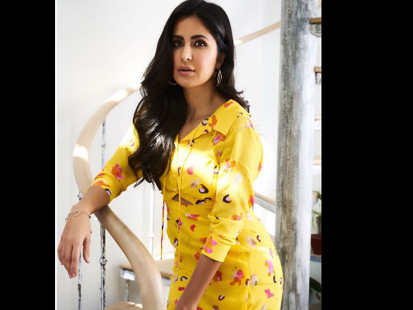 What's One Genre That Katrina Would Like To Explore?