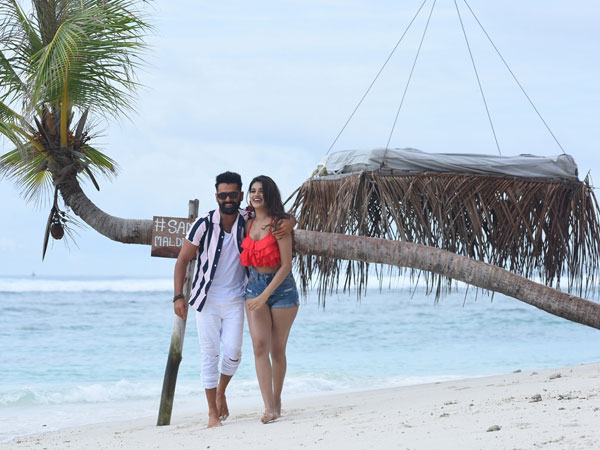 The Big Release The Big Release