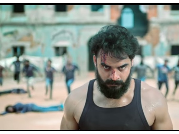 safwan @SaFwanLionheart