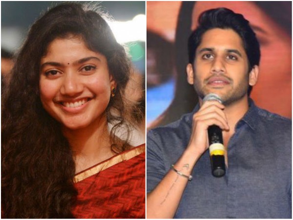 More About The Project