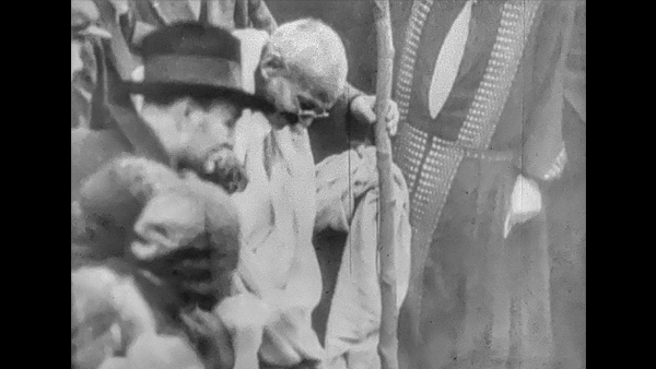 A Fascinating Visual Collection 