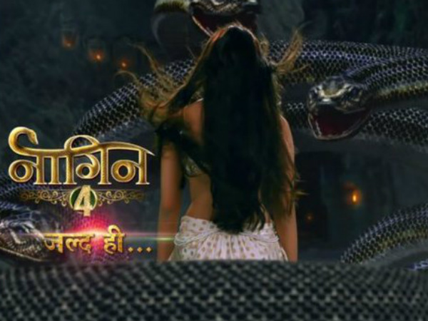 Who Is New Naagin In Naagin 4?