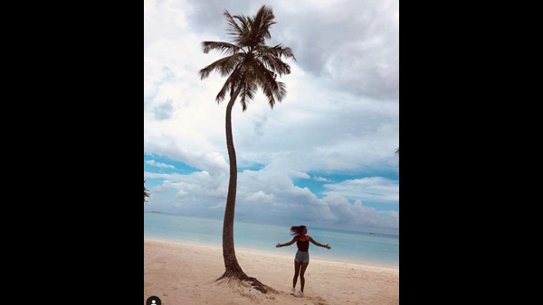 Sandalwood's New Crush