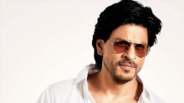 Dutch_Girl @DutchGi71885498 Dutch_Girl @DutchGi71885498