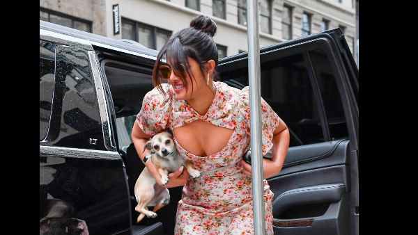 Priyanka Learnt Her First Lesson Priyanka Learnt Her First Lesson