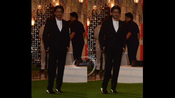 Shah Rukh Khan In The House Shah Rukh Khan In The House