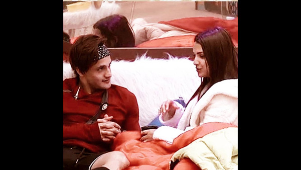 Will Himanshi Consider Getting Into Relationship With Asim?