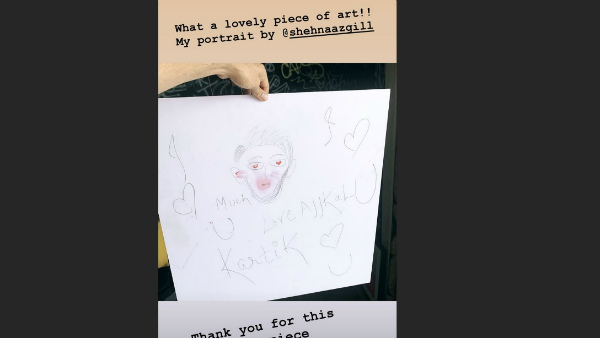 Kartik Aaryan Fulfills Bigg Boss 13s Shehnaz Gills Wish; Thanks Her For Making His Portrait