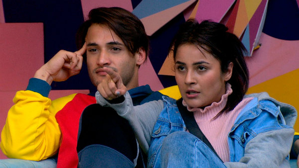 Not Shehnaz But Asim To Have A Swayamvar! Not Shehnaz But Asim To Have A Swayamvar!