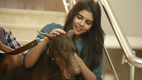 The Rest Of India Collections (3 Days)