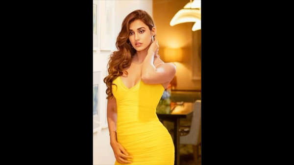 Disha Says Its A Dream Come True To Work With Salman Again Disha Says Its A Dream Come True To Work With Salman Again