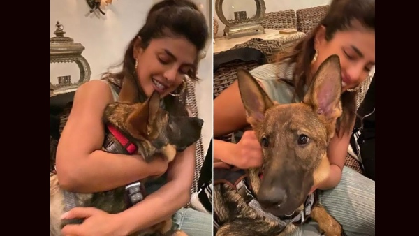 Priyanka Chopra Priyanka Chopra