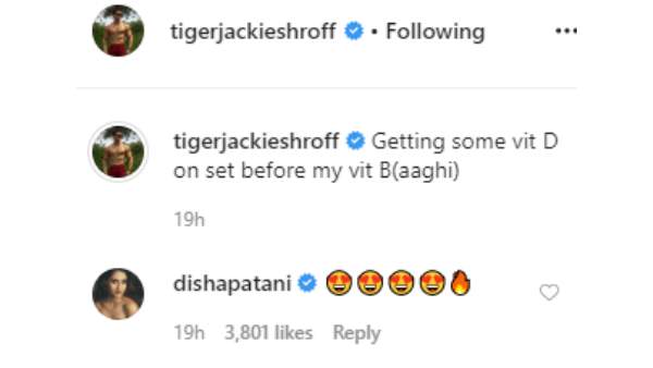 Disha Patani Is Heart Eyes For Tigers Throwback Picture