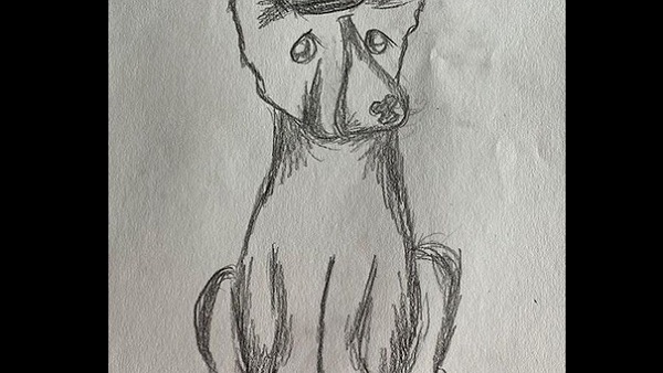 Celebrities Hail Anya For Her Noble Initiative