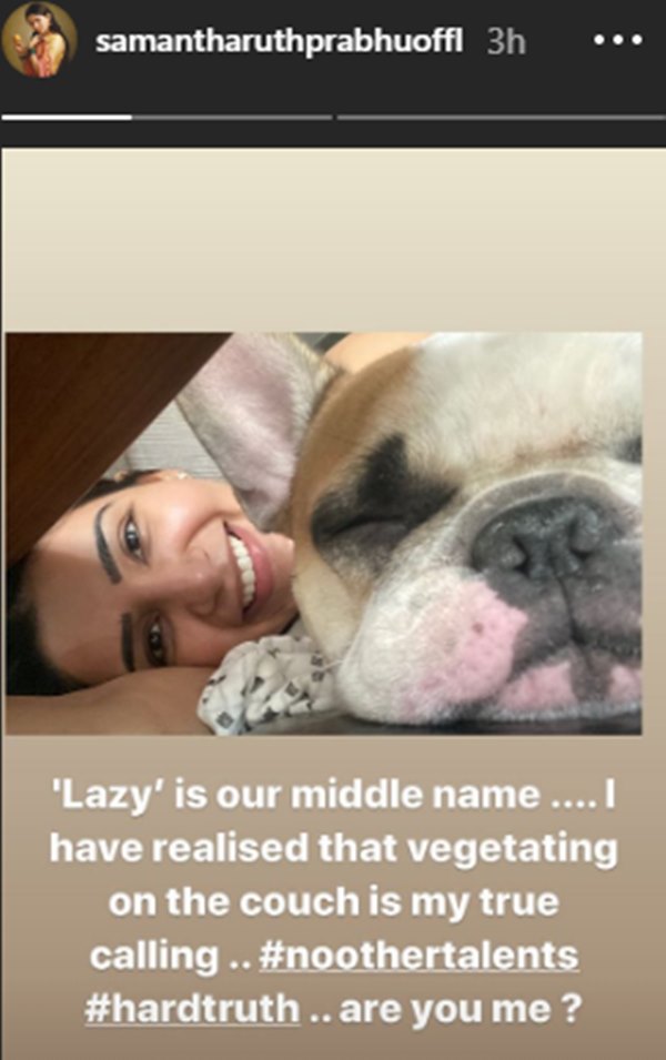 Samantha Akkinenis Instagram story