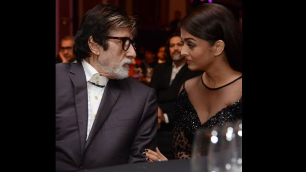 Big B Shut Down The Troll With A Witty Reply