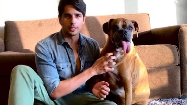 Sidharth Malhotra