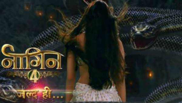 ‘We Will Be Casting Soon’