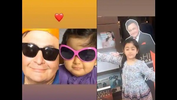 Cuteness Overload Cuteness Overload