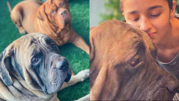 Alia Bhatt With Ranbir Kapoor's Pups Alia Bhatt With Ranbir Kapoor's Pups