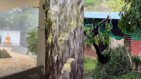 Earlier, Iulia Posted Pictures Of The Damage Suffered By Salman's Farmhouse Due To Cyclone Nisarga