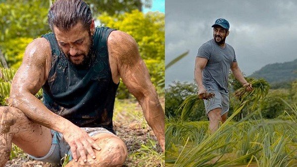 Recently, Salman Had Paid A Tribute To Farmers