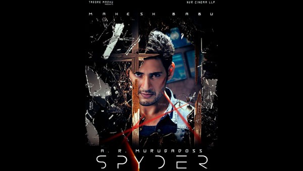 8. Spyder