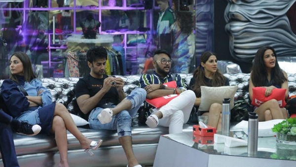 Housemates Irked With Nikki