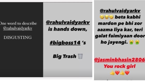 Bigg Boss 14: Karan Patel Lends His Support To Jasmin Bhasin; Calls Rahul Vaidya The Biggest Trash