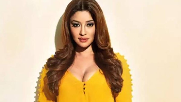 Payal's Lawyer Claimed That Payal Ghosh Got Trolled On Social Media