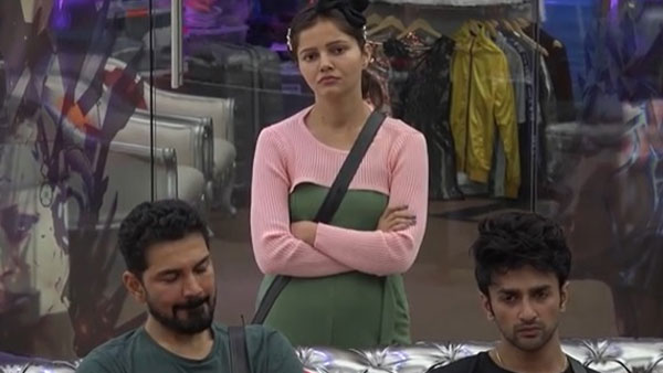 Rubina Diliak Rubina Diliak