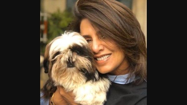 Meanwhile, Neetu Kapoor Had Received A Warm Welcome From Her Jug Jugg Jeeyo Co-Star Anil Kapoor