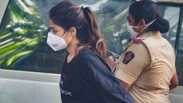 NCB Has Made Several Other Arrests In Past Few Months NCB Has Made Several Other Arrests In Past Few Months