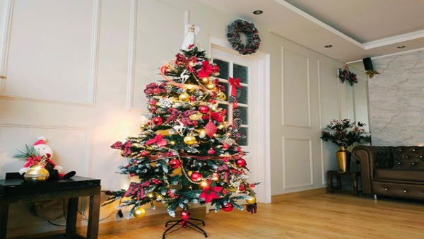 Theme Of Christmas Celebration