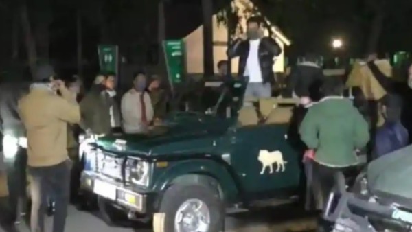 Fam-Jam And Jungle Safari Fam-Jam And Jungle Safari