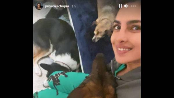 Priyanka-Chopra-Unfinished