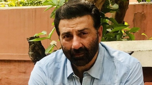 sunny-deol sunny-deol