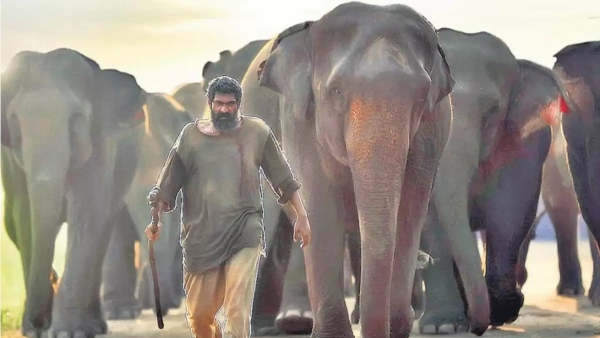 EXCLUSIVE! ‘Haathi Mere Saathi Is Not Designed For OTT Platforms’, Says Prabhu Solomon