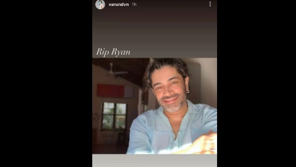 varun-dhawan-instagram-story