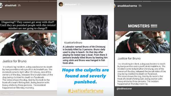 Alia Bhatt, Disha Patani, Anushka Sharma, 