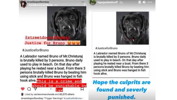 tiger shroff, malaika arora