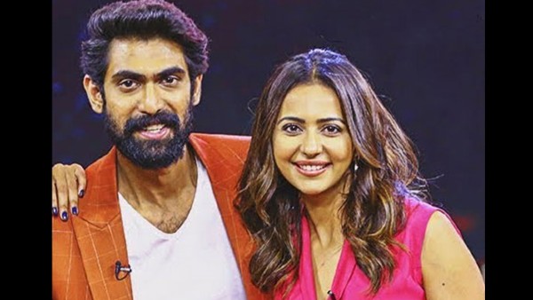 Rakul Preet Singh Rakul Preet Singh