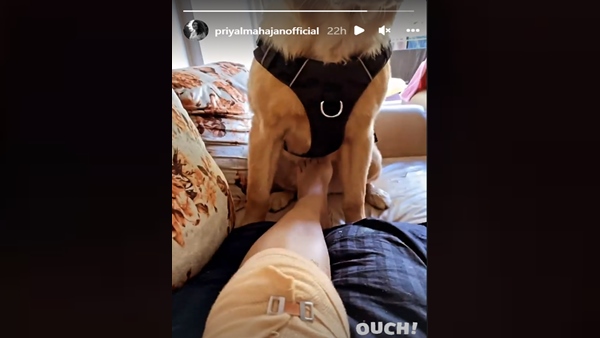 OMG! Priyal Mahajan Gets Injured On The Sets Of Molkki