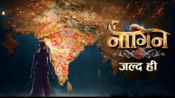 Who Is The New Naagin?