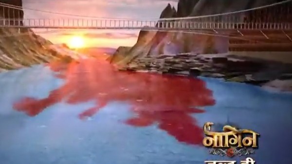 Netizens Troll Naagin 6 Promo