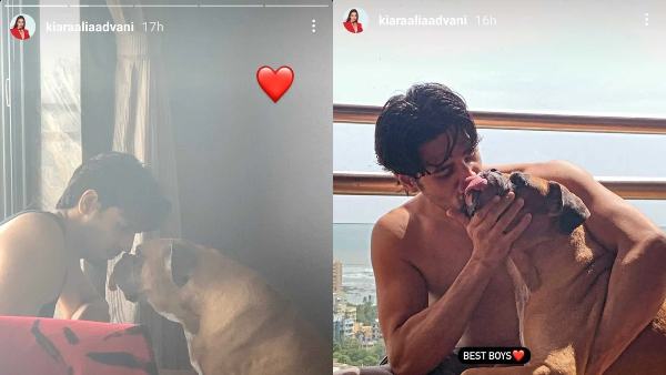 Sidharth Malhotra, oscar