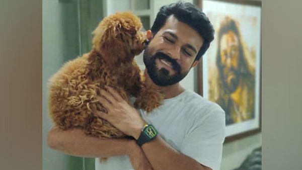 Philanthropic Activities