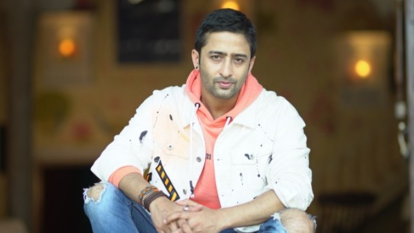 Shaheer On TV Stars Facing Difficulties To Enter Bollywood