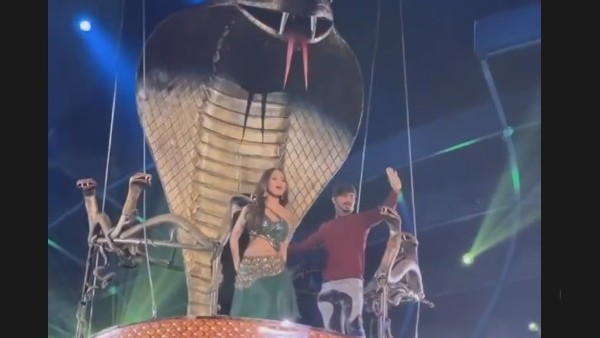 Teja’s Sizzling Performance Teja’s Sizzling Performance