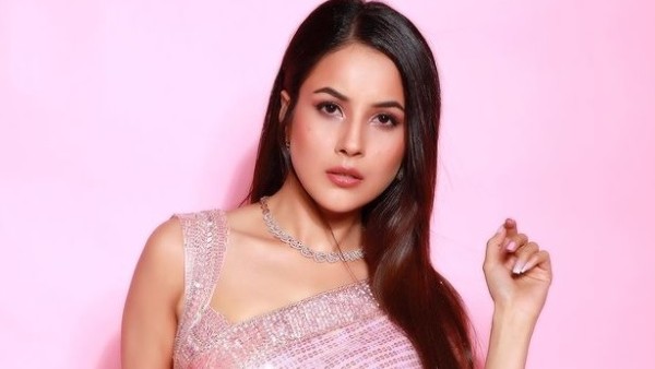 Shehnaaz Gill Is Getting Big Moolah For Brand Promotions